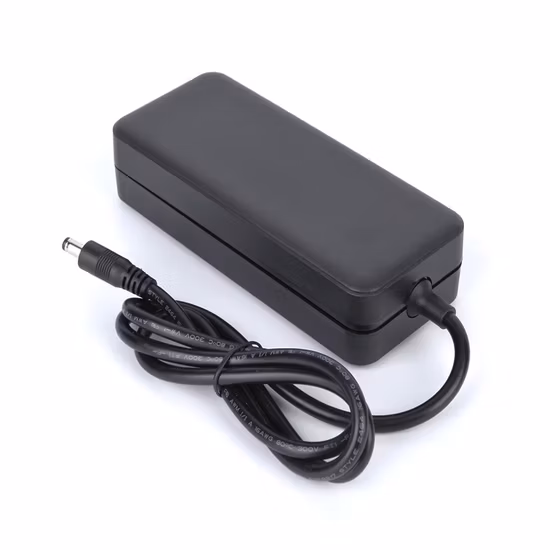 Adattatore di alimentazione 48 V 5 AMP 150 W 180 W 200 W 250 W 360 W UL FCC PSE GS CE Ukca SAA C